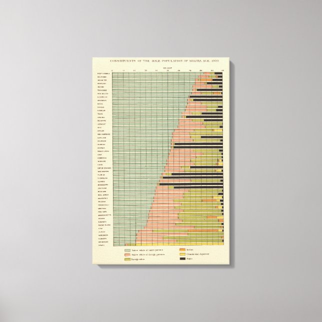 Toile 45 Constituants Population masculine 1900 (Recto)