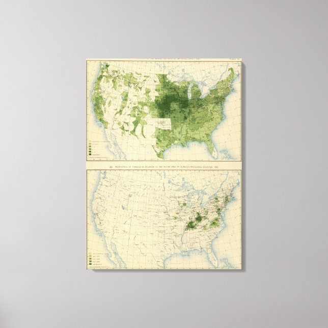 Toile 51 Grains, tabac 1890 (Recto)