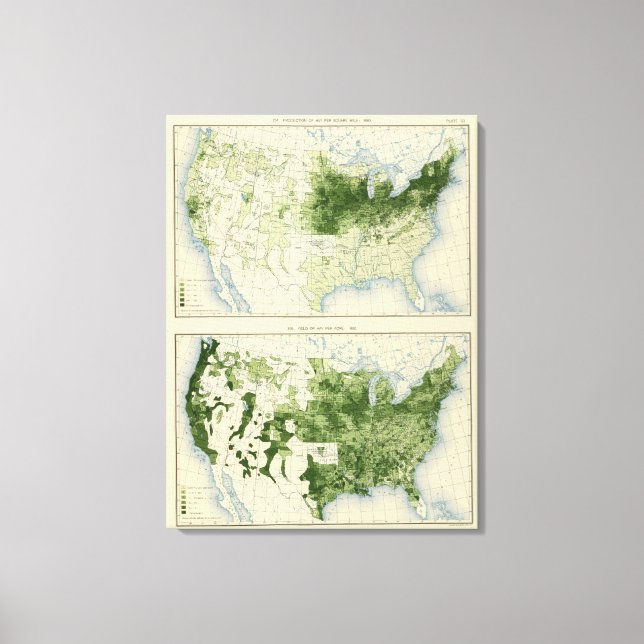 Toile 53 Hay 1890 (Recto)