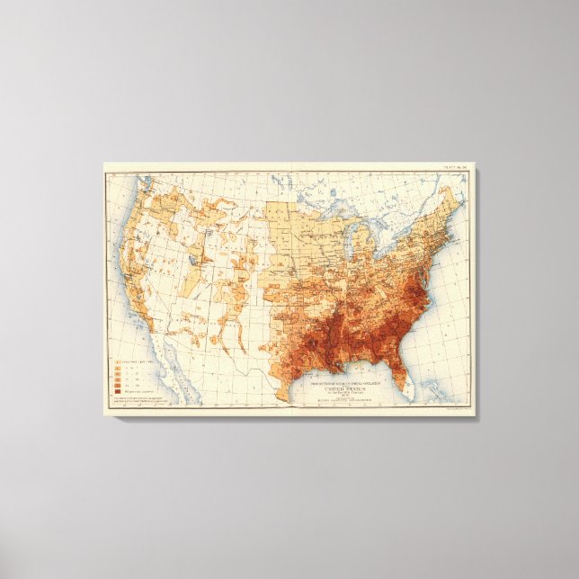 Toile 56 Proportion de Noirs (Recto)