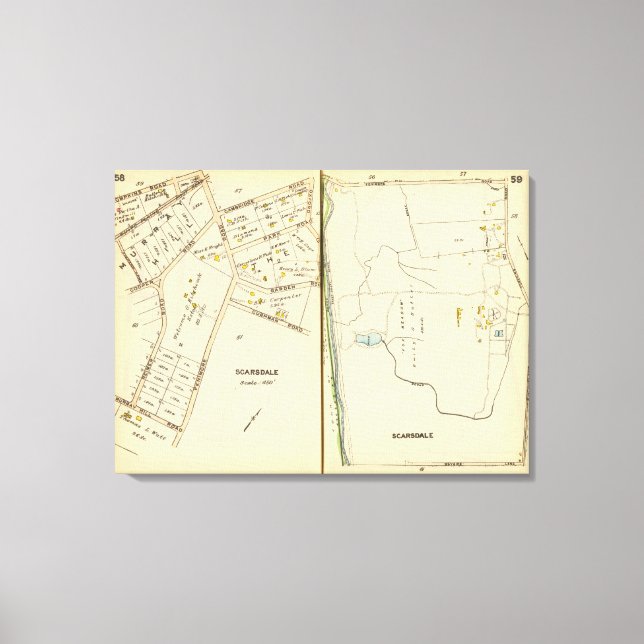 Toile 5859 Scarsdale (Recto)