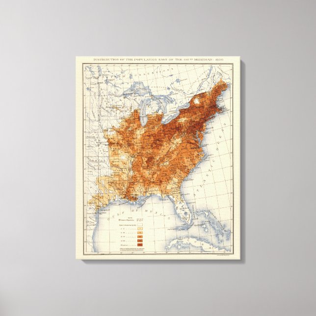 Toile 8 Population 1850 (Recto)