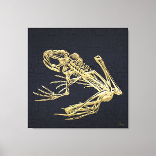 Toile 999.9 : Squelette de grenouille
