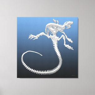 Toile 999.9 : Squelette d'Iguana