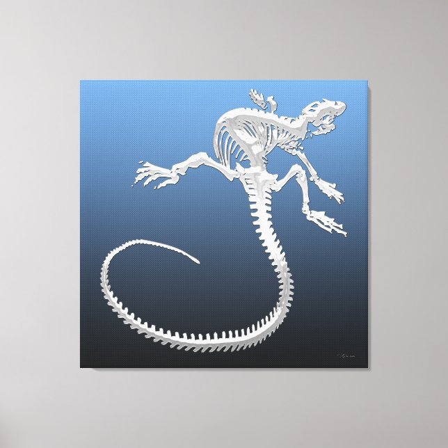 Toile 999.9 : Squelette d'Iguana (Recto)