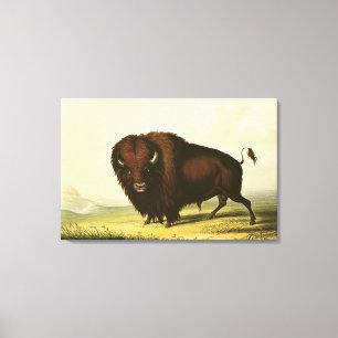 Toile A Bison, vers 1832