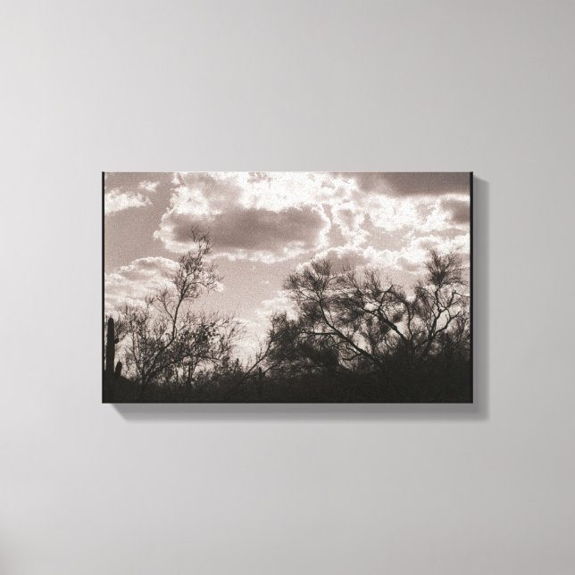 Toile à brosse (désert de Sonoran) (Recto)