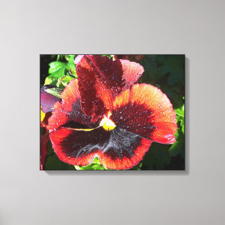 Toile à fleurs de Pansy