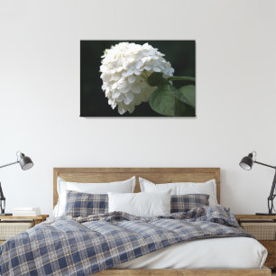 Toile à fleurs d'Hydrangea noir blanc Lime