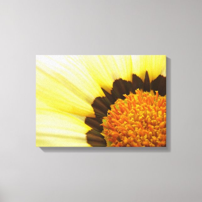 Toile à fleurs jaunes (Recto)