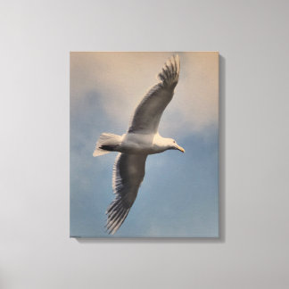 Toile A flying seagull on Stretched Canvas Print