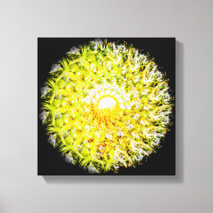 Toile A mi-chemin du soleil Brushstroke Spiral Mandala