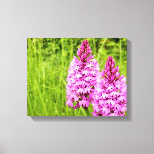 Toile à orchidées pyramidales (Recto)