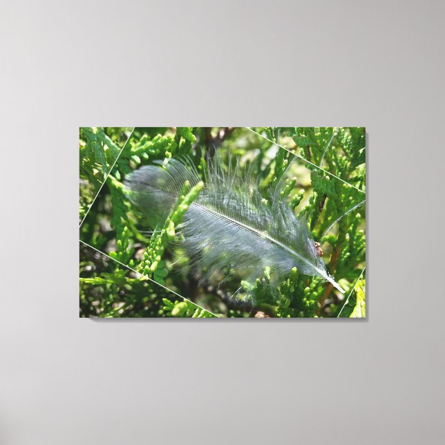 Toile A stray feather (Recto)