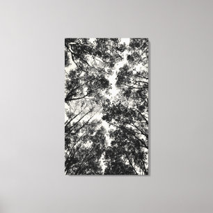 Toile À Travers Les Arbres, 2018   Images SVP