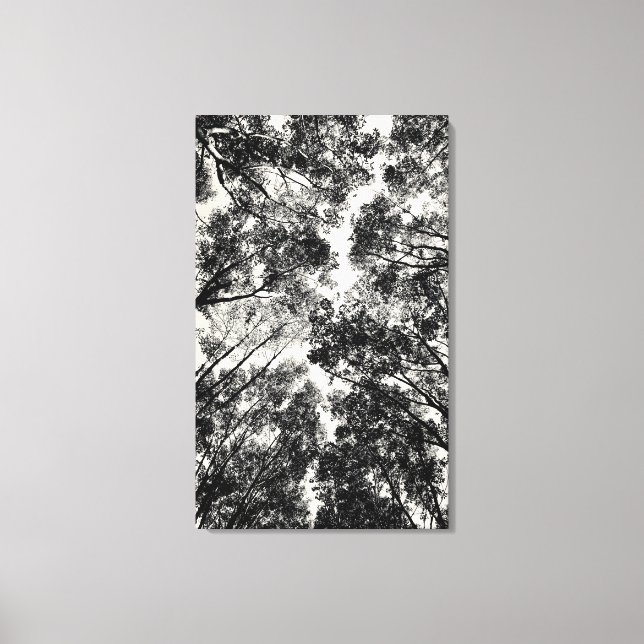 Toile À Travers Les Arbres, 2018 | Images SVP (Recto)