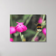 Abeille Bourdon Volant Vers Une Fleur Photo Botani