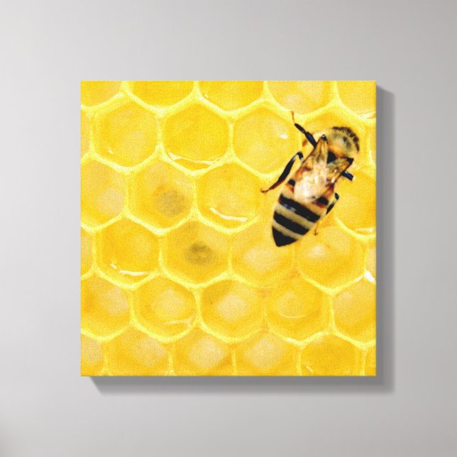 Toile abeille et nid d'abeille (Recto)