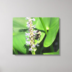 Toile Abeille sur une fleur