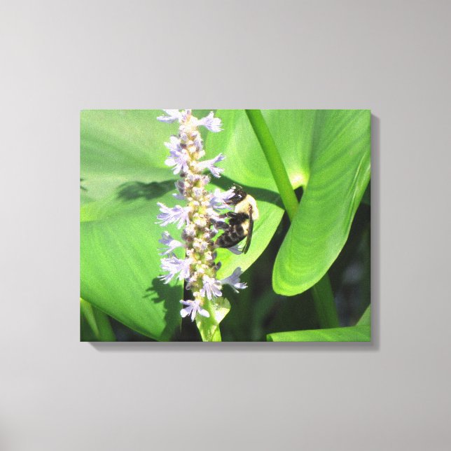 Toile Abeille sur une fleur (Recto)