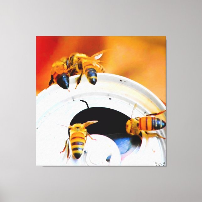 Toile Abeilles sur une canette de soda (Recto)