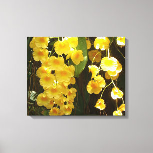 Toile Accrocher les orchidées jaunes Fleurs tropicales