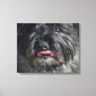 Toile Adorable Cairn Terrier