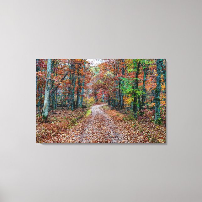 Toile Affaire On the Dirt Road new (Recto)