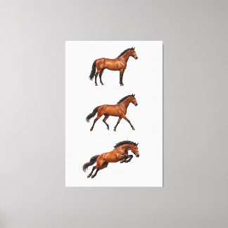 Toile Affiche de cheval brun élégant pour décoration mur