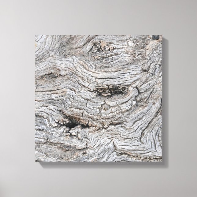 Toile Affiche de texture d'écorce d'olivier ancien (Recto)