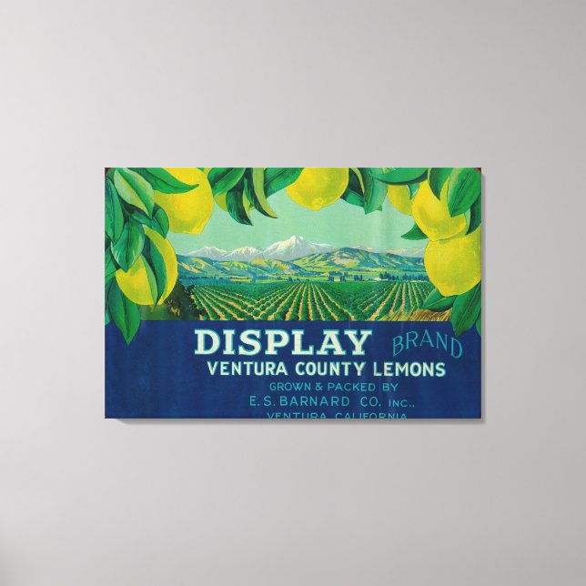 Toile Afficher étiquette citron Ventura, CA (Recto)