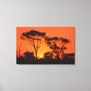 Toile Afrique du Sud. Coucher de soleil africain.