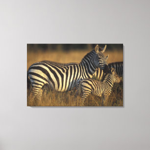 Toile Afrique, Kenya, réserve de gibier Masai Mara. Plai