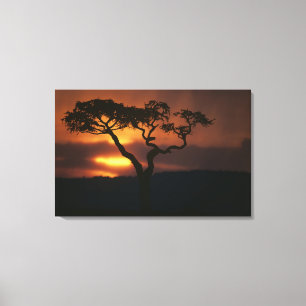 Toile Afrique, Kenya, Réserve de Masai Mara, Cadre
