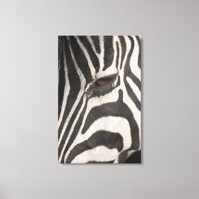 Toile Afrique, Tanzanie, Aire de conservation de Ngorong (Recto)