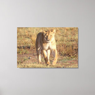 Toile Afrique, Tanzanie, Serengeti. Lion et lionne