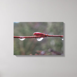 Toile After the Rain