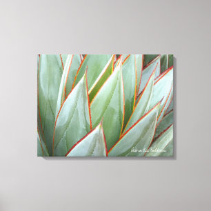 Toile Agave 'Blue Glow' par Debra Lee Baldwin