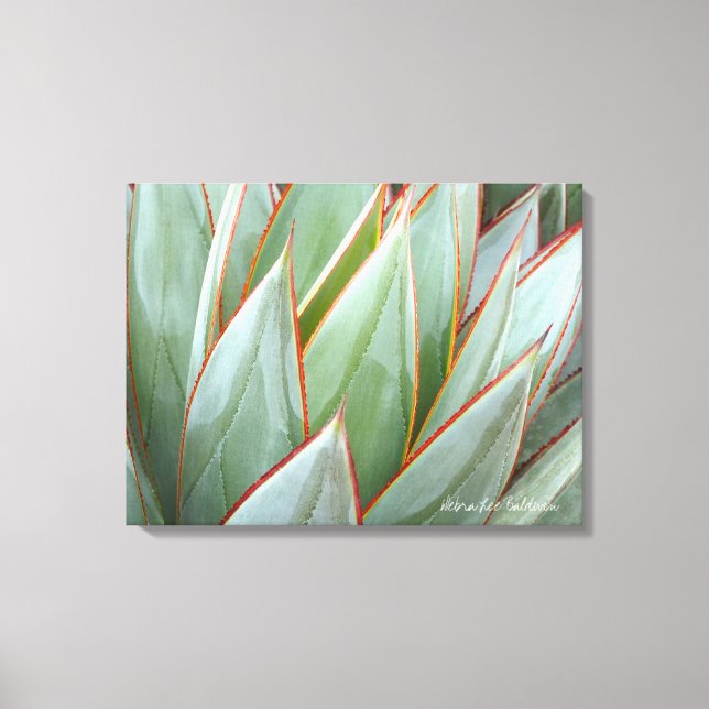 Toile Agave 'Blue Glow' par Debra Lee Baldwin (Recto)