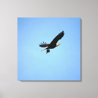 Toile Aigle à tête blanche avec transport de poisson