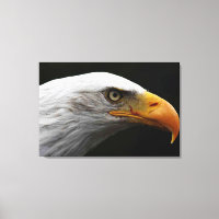 Aigle à tête plate 36x24 (90x60cm) waccna