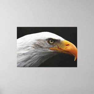 Toile Aigle à tête plate 60x40 (150x100cm) waccna