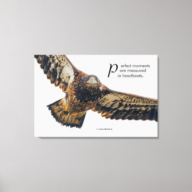 Toile Aigle à tête plate inspirant en vol (Recto)