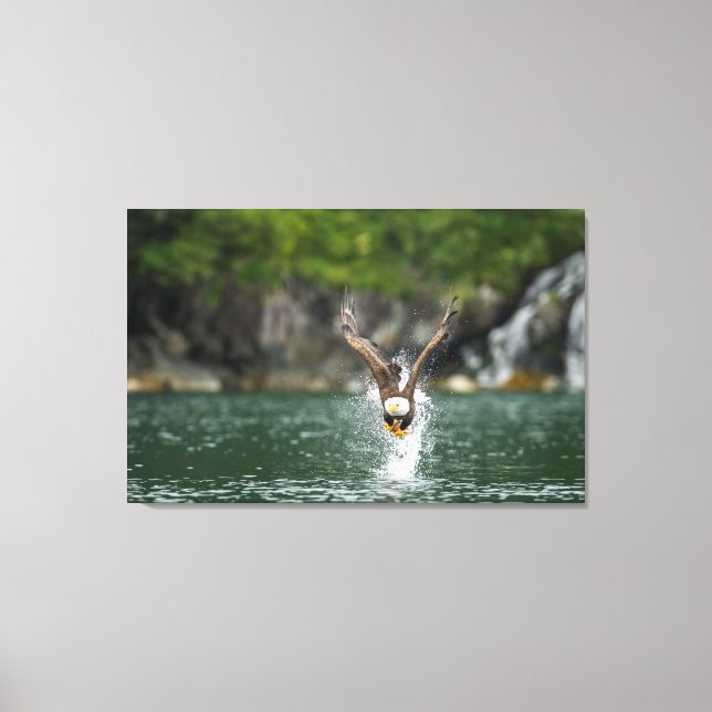 Toile Aigle Bald Le Gros Catch (Recto)