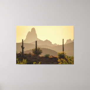 Toile Aiguille de Desert Mountain Weaver Arizona USA 60x