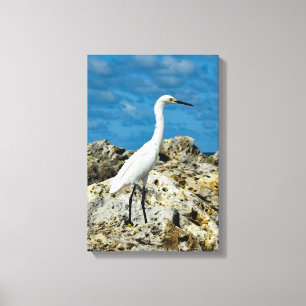 Toile Aiguille neigeuse sur les rochers