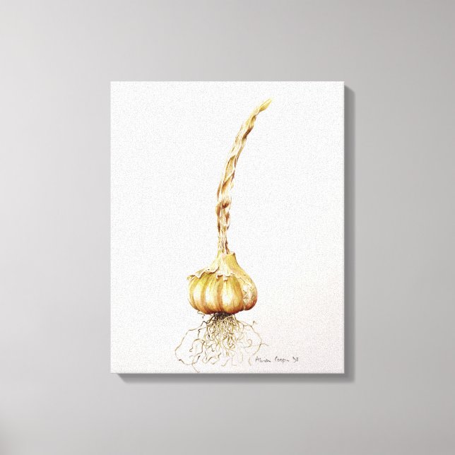 Toile ail 1998 (Recto)