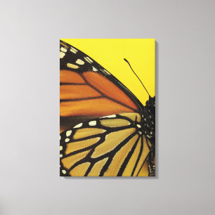 Toile Aile d'un papillon
