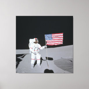 Toile Alan B. Shepard Jr. (Apollo 14)