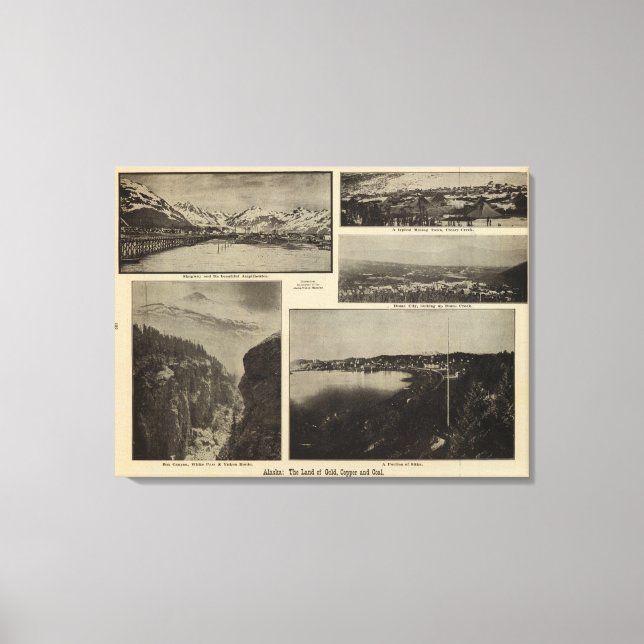 Toile Alaska 6 (Recto)